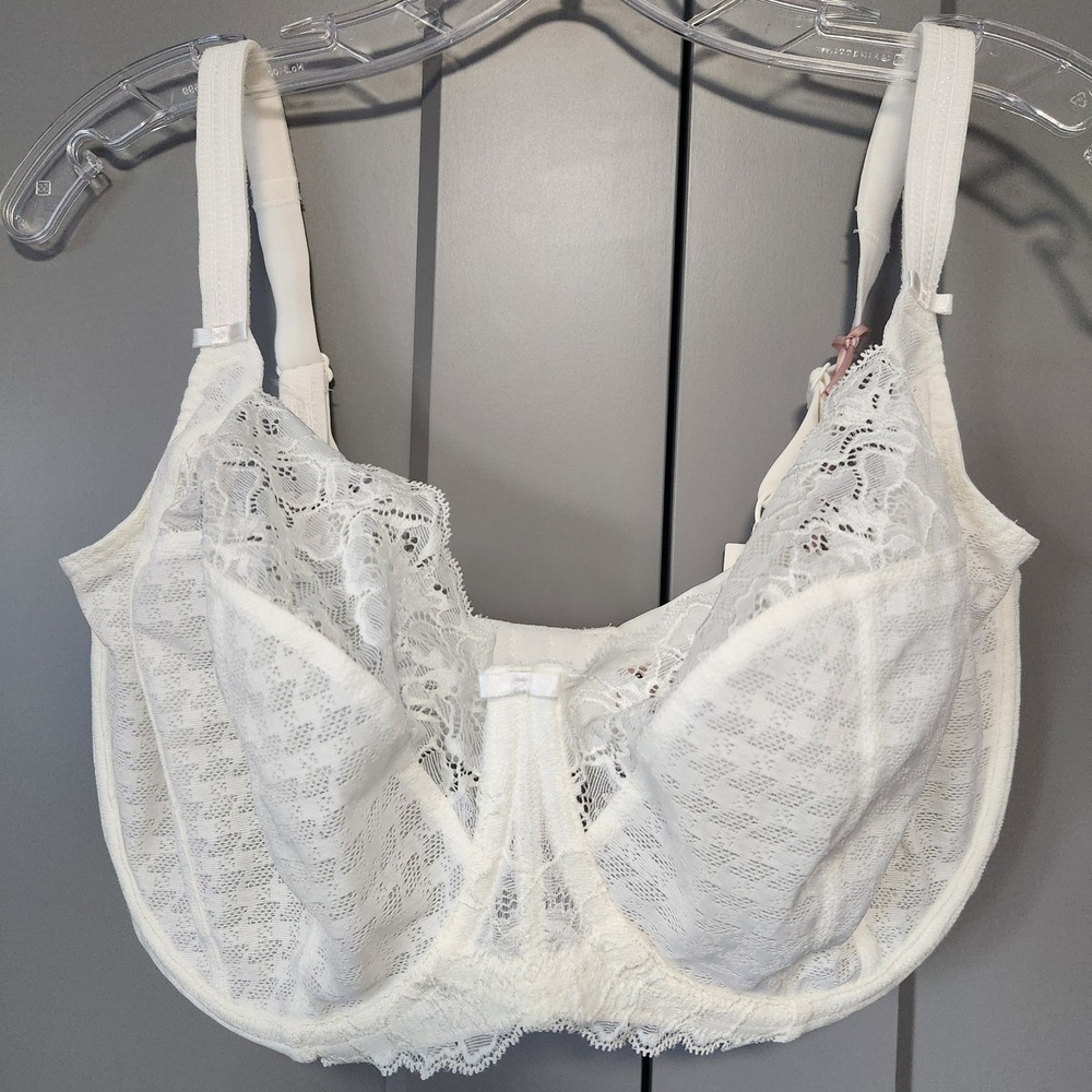 New Panache Envy Full Cup Bra 34H UK 34K US Ivory White Lace Underwire 7285 NWT